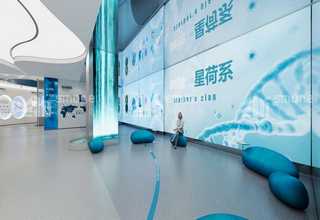 张家口铅丝笼网片