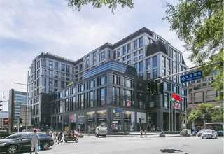 福建植物透气乳代理费